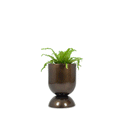 Hourglass modern planter in a brass metallic finish. Buy modern plant pots online India. Brass planters pots for living room.