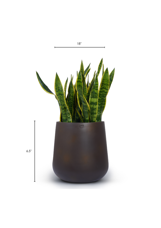 Aquila Medium Floor Planter in Matt Brown