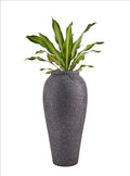 This black round planter pot is light weight and easy to maintain. This large FRP planter pot can be used in gardens, balcony garden or indoors. Living room planters.