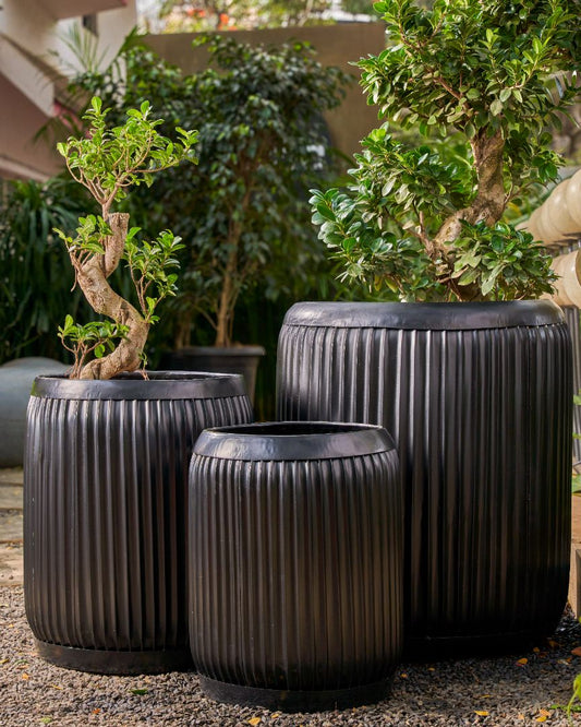 This beautiful large black metal planter by Palasa can bring life to any space. Use this black metal indoor planter pot set any where in your living room, bedroom or even entryway.