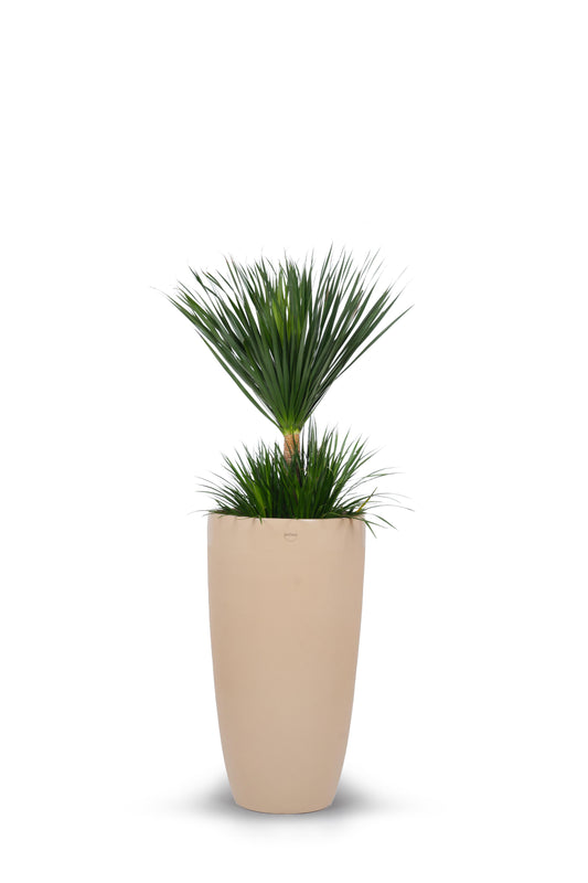 Milano FRP Planter (Sandal Paste)