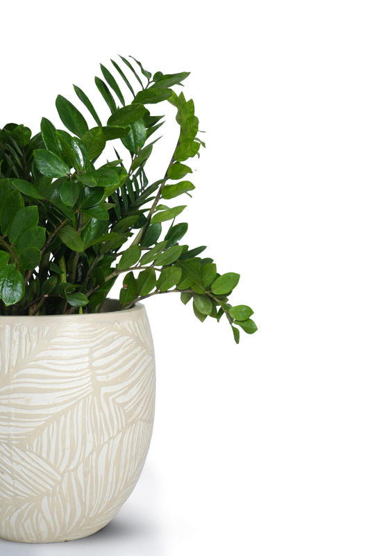 Petra Round Floor Planter