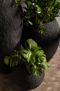 Trado, Urn and Cosmos rustic black large planters that are hand chiselled to achieve some lovely contours, which showcase amazing small specs of stones through the planter. 