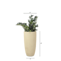 This set of three FRP planters by Palasa is sure to create a lovely corner in your balcony or indoor area. The beige tall planters pots are perfect for your balcony garden or living room. Buy living room planters today at Palasa