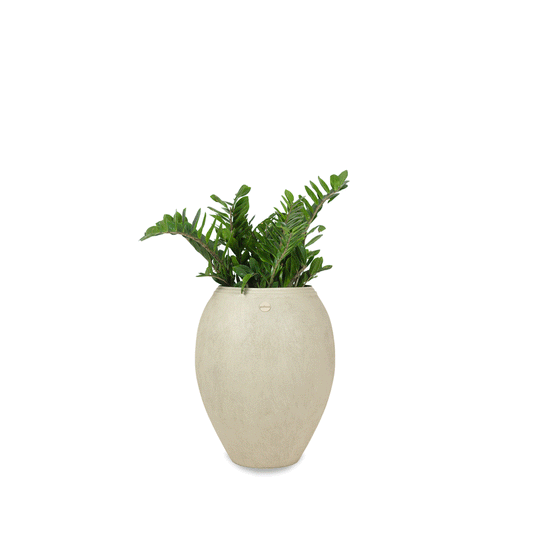 Urn Large Circular Planter