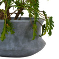 Galileo's rustic finish looks great both indoors and out, and decor enthusiasts adore its flared base and tapering center.  These rustic planters work well with the Philodendron Xanadu, Lady Palm or even the Areca palm.