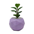 Sphere Geometric Planter - Studio Palasa